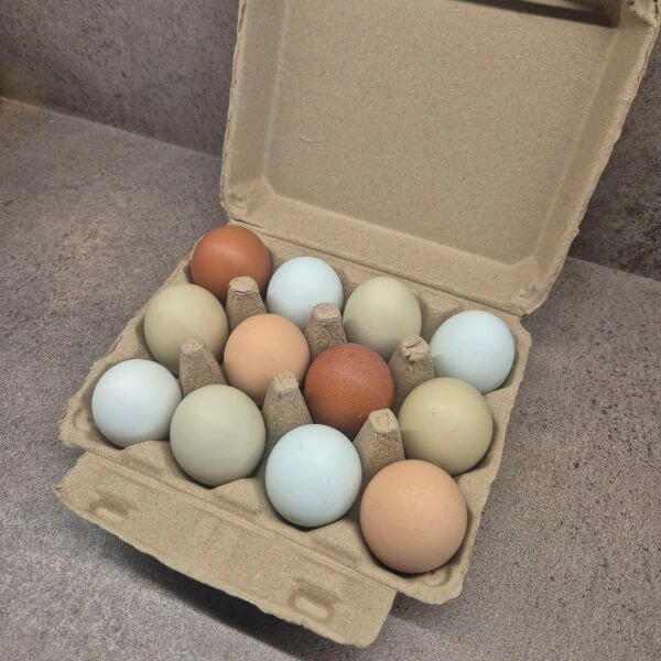 Egy tucat friss tanyasi tojás 12db